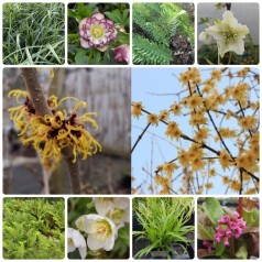 Vinterbed til 10 m² -...