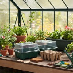 Forspiring Startsæt