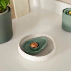 Avocado båd