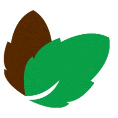 Virginsk vinterbær...