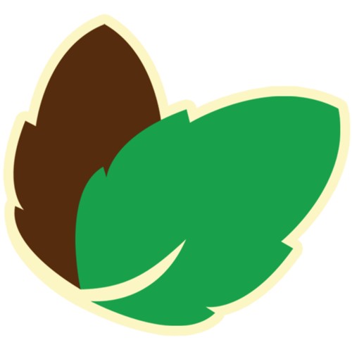 Magnolia soulangeana Coates