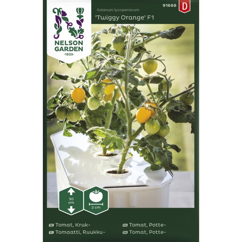 Dværg cherrytomat frø, Twiggy Orange F1