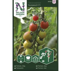 Cherrytomat frø, Sunpeach F1