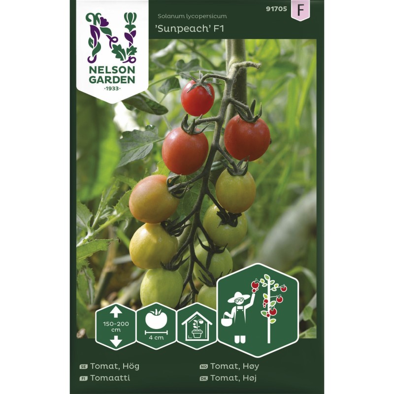 Cherrytomat frø, Sunpeach F1