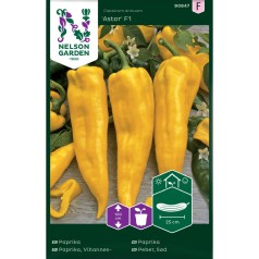 Peber frø, Astor F1
