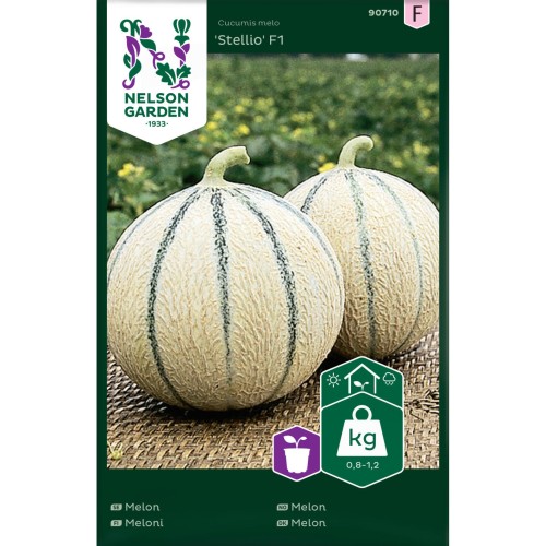 Melonfrø, Stellio' F