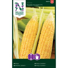 Majsfrø, Sweet Nugget F1