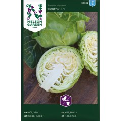 Hvidkålsfrø, Beatrix F1