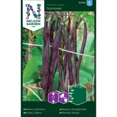 Stangbønnefrø, Carminat