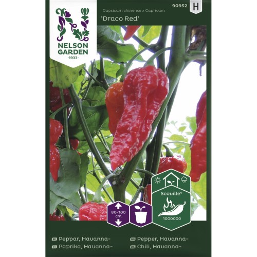 Chilifrø, Draco Red