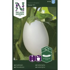 Auberginefrø, Gaia F1