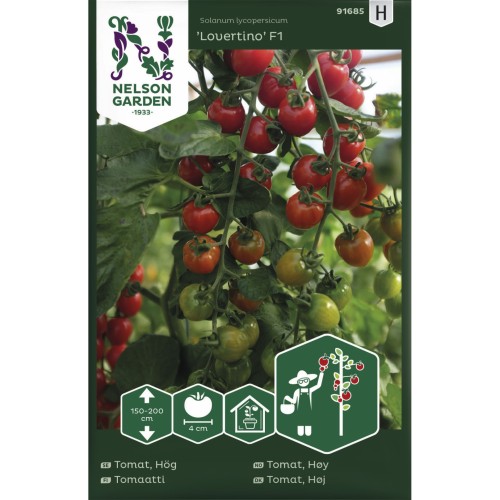 Cherry tomatfrø, Lovertino F1