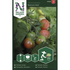 Cherrytomat frø, Balconi Red