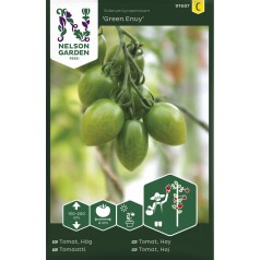 Cherry tomatfrø, Green Envy