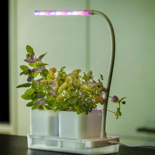 Vækstlys sæt, med 2 potter