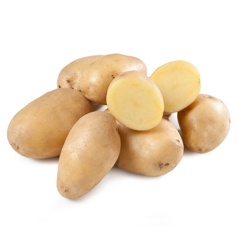 Arielle Læggekartofler 5 Kg. - Meget tidlig