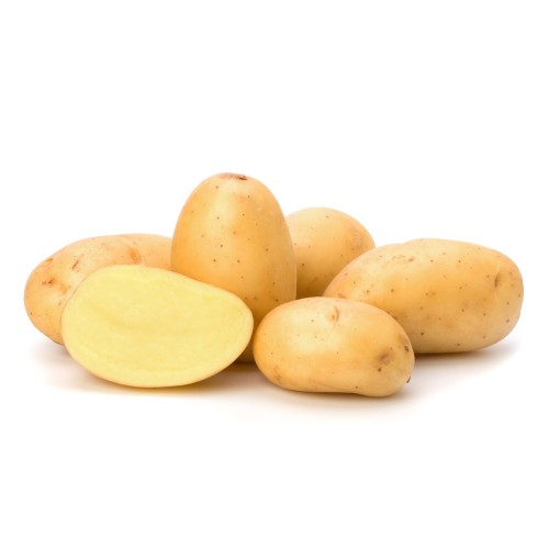 Artemis Læggekartofler 25 Kg. - Meget tidlig