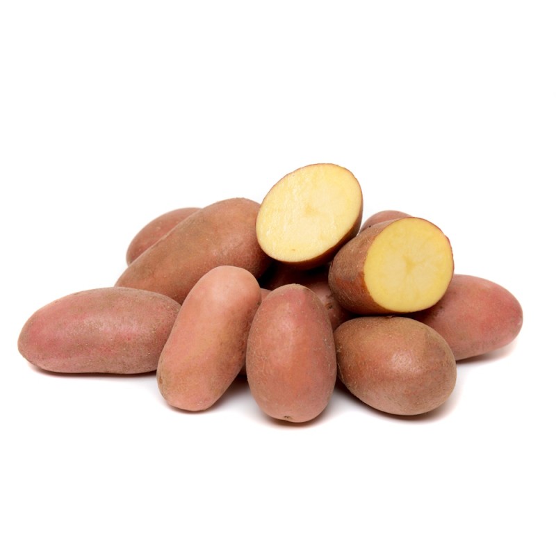 Cerisa Læggekartofler 1,5 Kg. - Tidlig