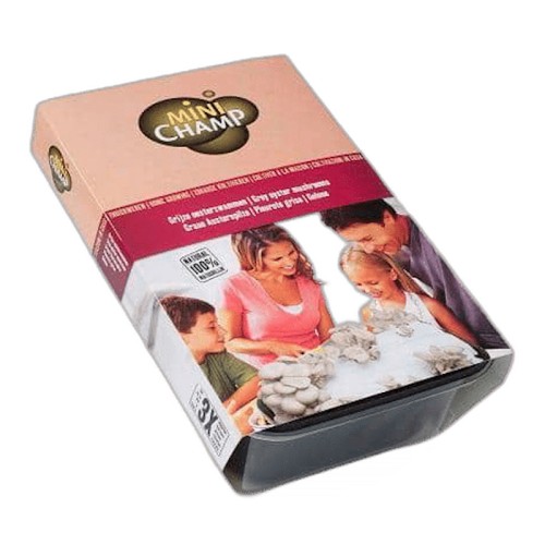 Østershatte - Svampe-sæt