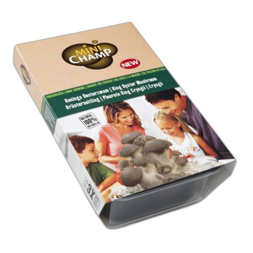 Kejserhat - Svampe-sæt