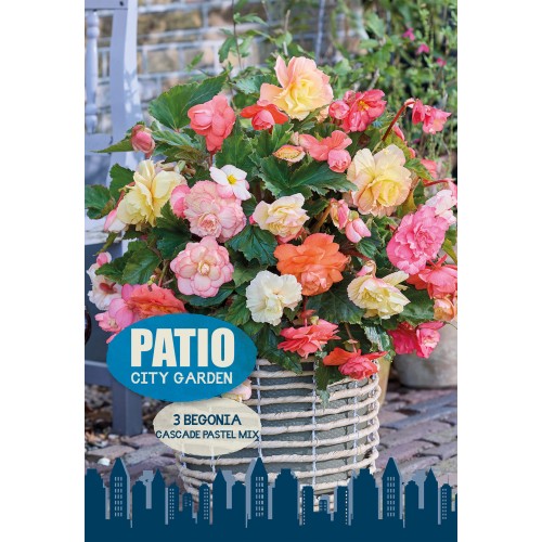 Begonia Cascade Pastel Mix - Patio City Garden - 3 knolde
