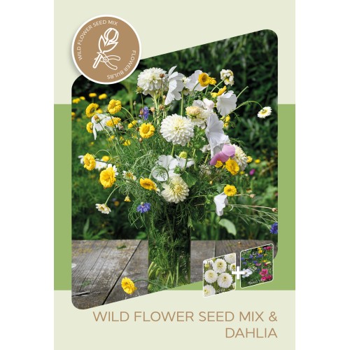Dahlia & Blomsterfrø mix, White Onesta