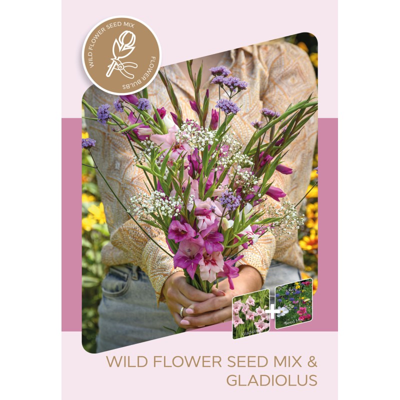 Gladiolus & blomsterfrø mix, Pink Purple Mixed