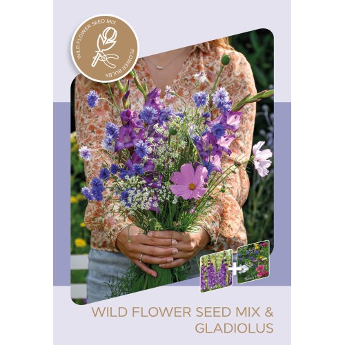 Gladiolus & blomsterfrø mix, Purple Party