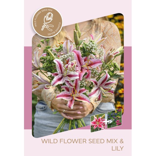 Lilje & blomsterfrø mix, Stargazer