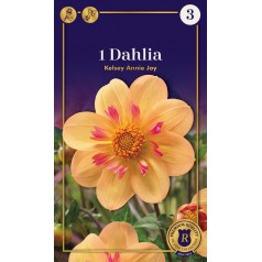 Dahlia Mignon Kelsey Annie...