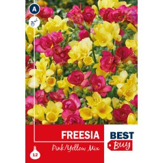 Freesia Pink/Yellow Mix -...
