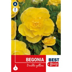 Begonia Double Yellow - 3...