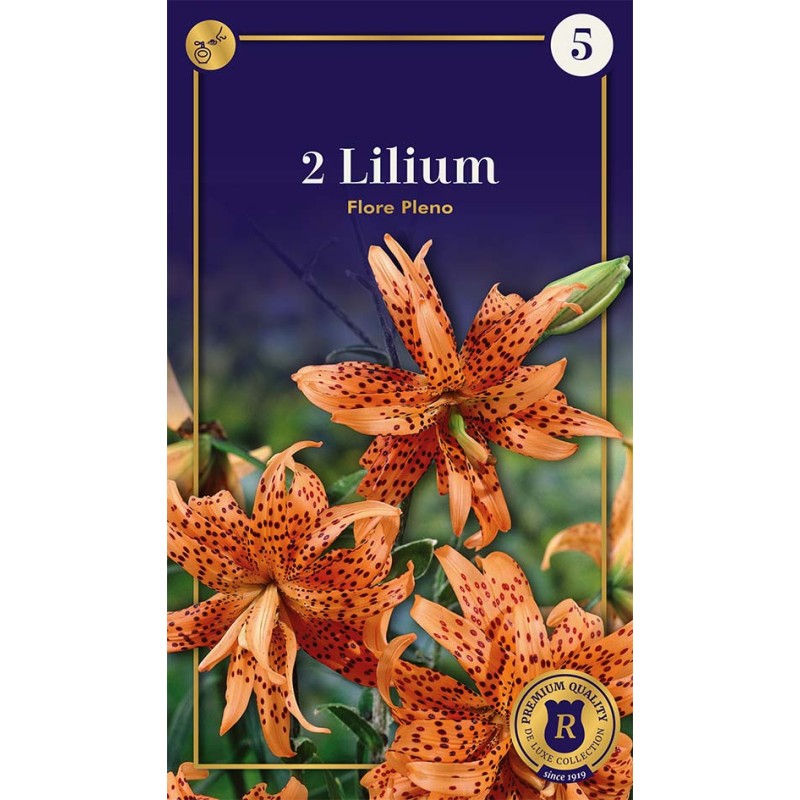 Lilje Tiger Flore Pleno - 2 Løg