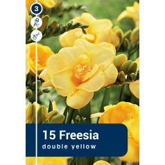 Freesia Double Yellow - 15 løg