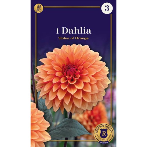 Dahlia Decorative Statue of Orange / Georgin