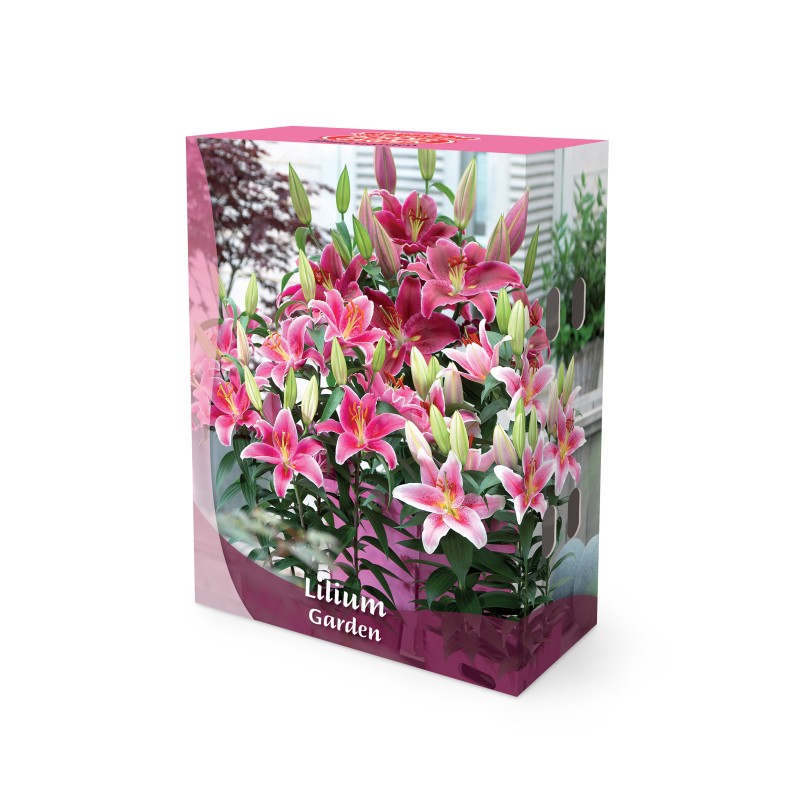 Lilje Mix - Border Garden Collection - 10 rødder