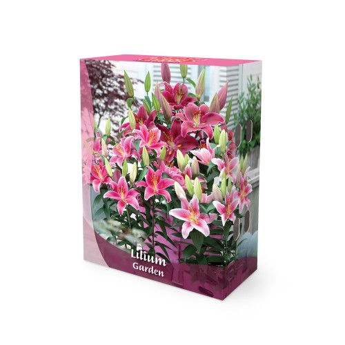 Lilje Mix - Border Garden Collection - 10 rødder