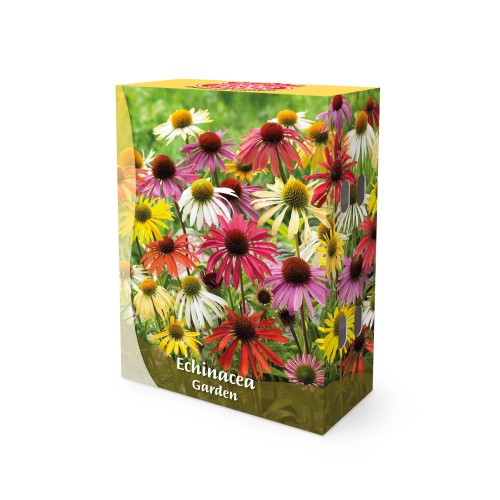 Purpursolhat Mix - Border Garden Collection - 10 rødder