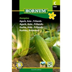 Asie agurkfrø, Kampino -...