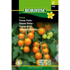 Tomatfrø, Venus (Pottetomat)