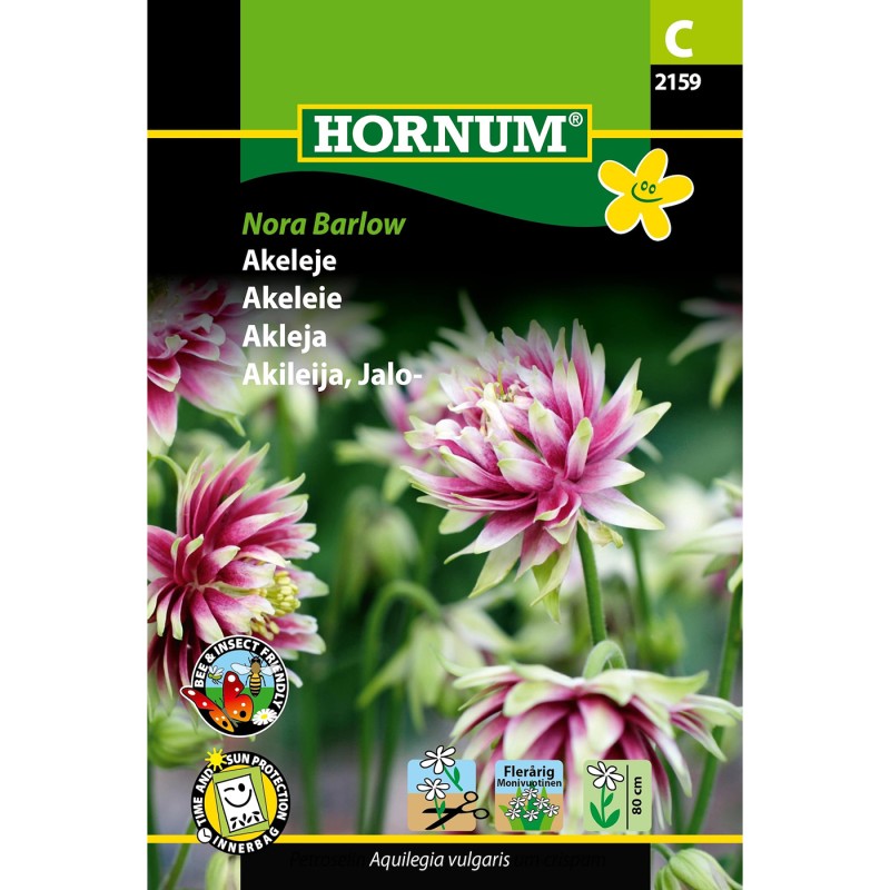 Akeleje frø, Nora Barlow