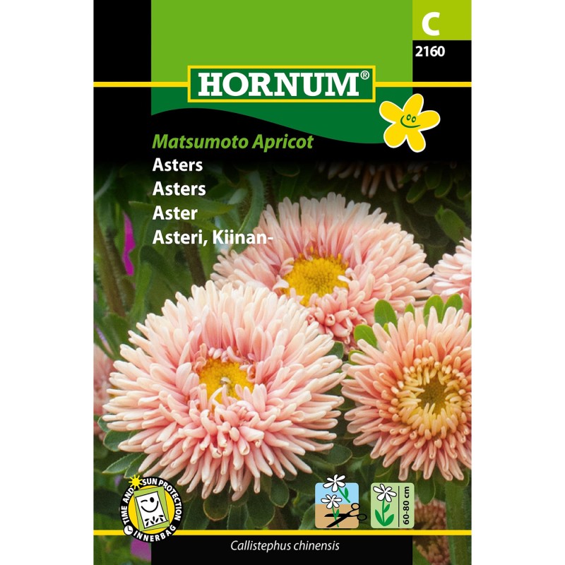 Asters frø, Matsumoto Apricot