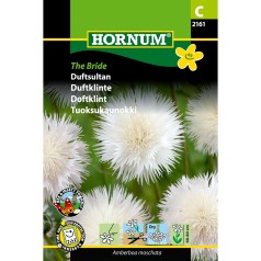 Duftsultan frø, The Bride