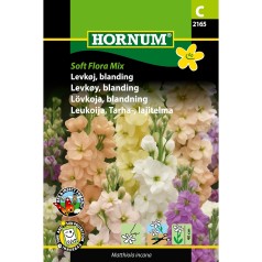 Levkøj frø, Soft Flora Mix