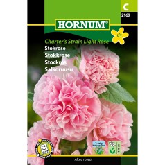 Stokrose frø, Charter's...