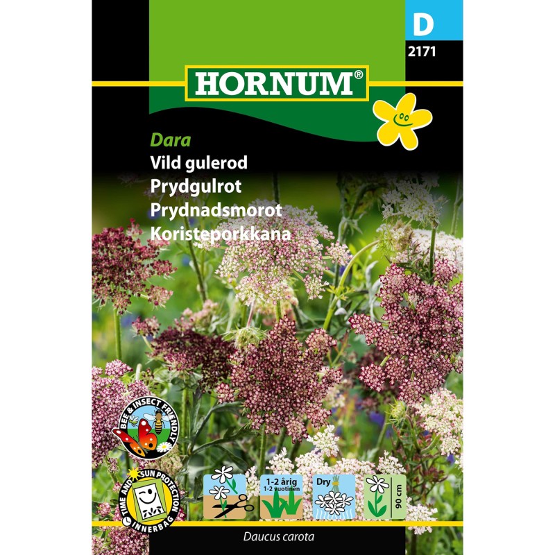 Vild gulerod frø, Dara