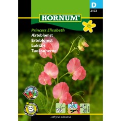 Ærteblomst frø, Princess...