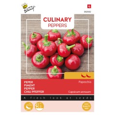 Chilifrø, Papecchia