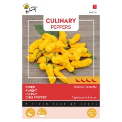 Chilifrø, Madame Jeanette