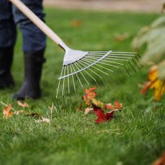 Løvrive - Kent & Stowe